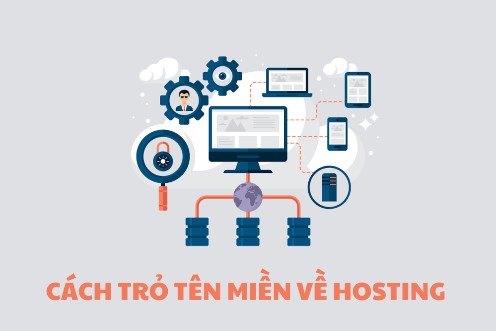 Hướng dẫn cách trỏ tên miền về host cho người mới